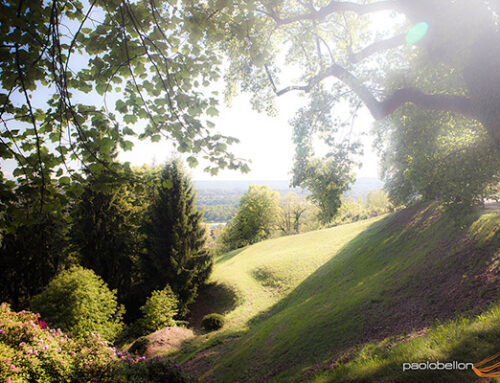 Biella e le sue riserve naturali