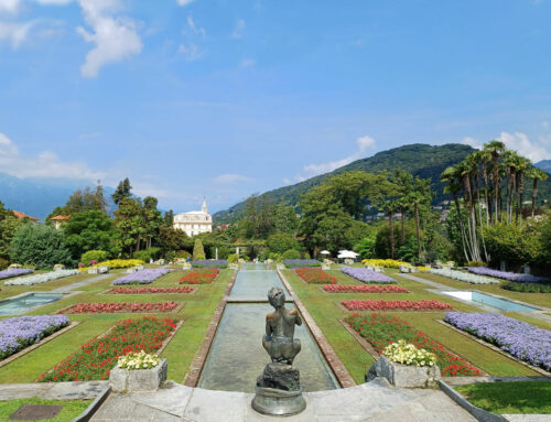 I Tesori Verdi del Lago Maggiore!